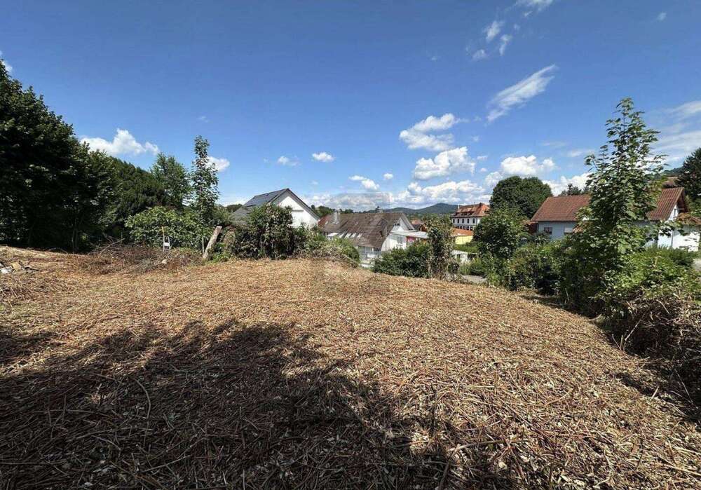 Thumbnail-Grundstück zu verkaufen in Friesenheim 394.605,00 € 999 m²