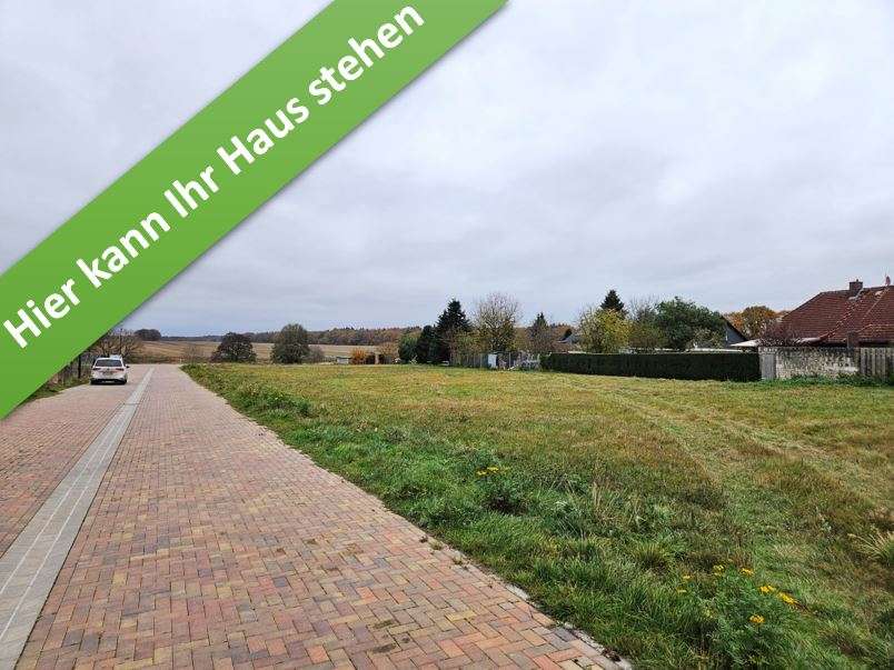 Thumbnail-Haus zum Kaufen in Diesdorf 321.500,00 € 166 m²