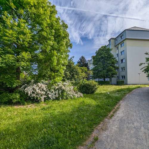 Thumbnail-Wohnung zum Mieten in Freiberg 428,00 € 57.19 m²