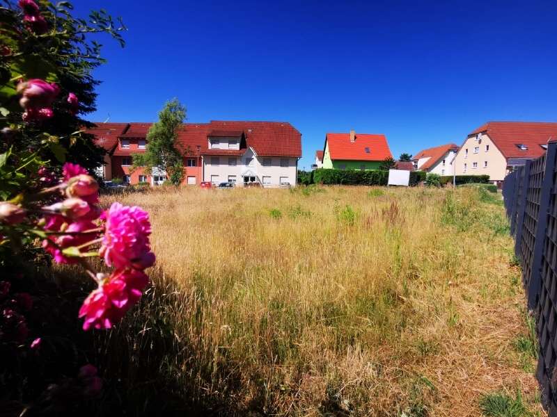 Thumbnail-Grundstück zu verkaufen in Hoyerswerda 48.500,01 € 1012 m²