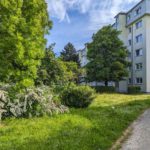 Thumbnail-Wohnung zum Mieten in Freiberg 393,00 € 56 m²