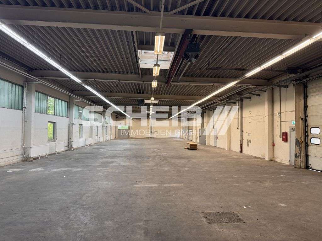 Thumbnail-Halle in Bretzfeld 6.592,11 € 1143.73 m²