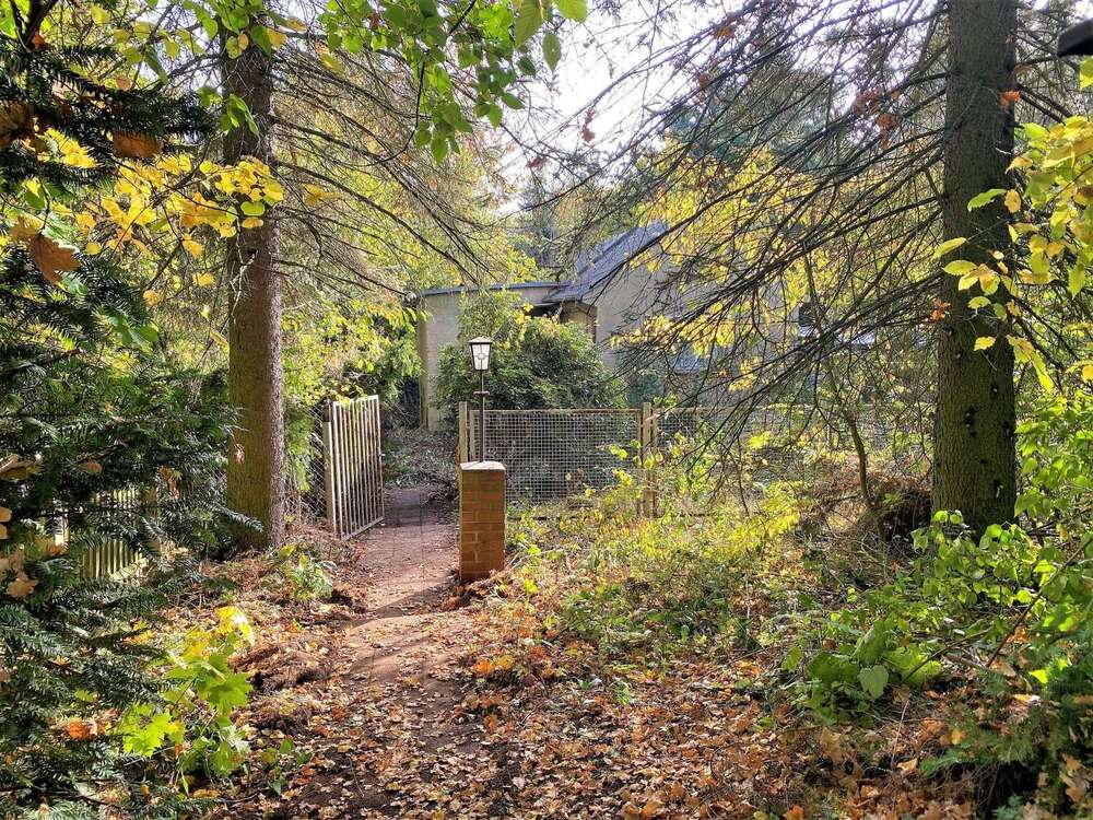 Thumbnail-Grundstück zu verkaufen in Chemnitz 125.000,00 € 762 m²