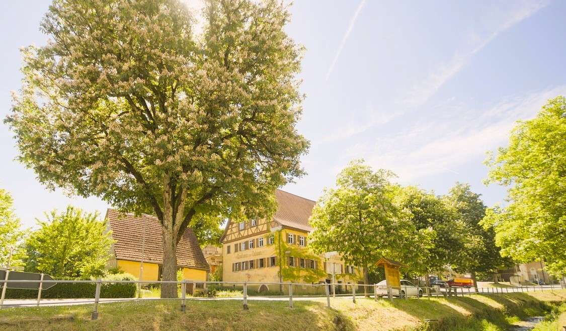 Thumbnail-Haus zum Kaufen in Mulfingen 248.000,00 € 325 m²
