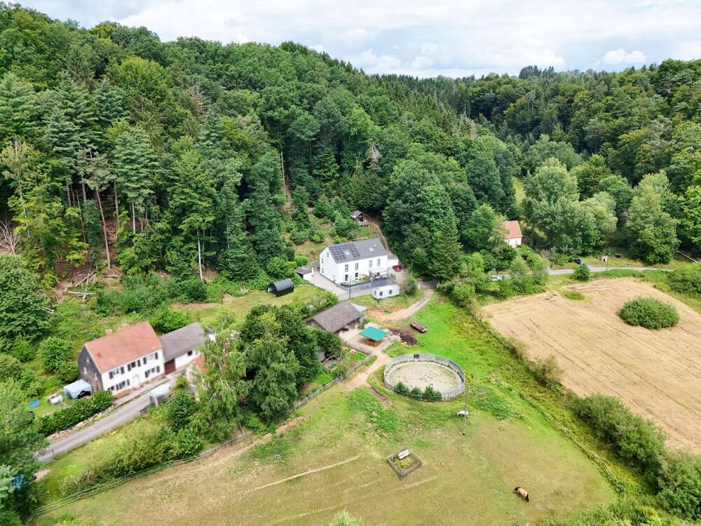 Thumbnail-Haus zum Mieten in Trippstadt 1.700,00 € 177 m²