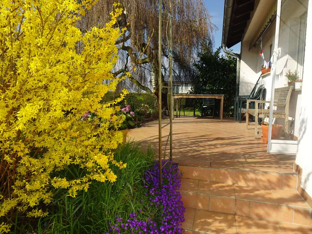 Thumbnail-Haus zum Mieten in Viernheim 1.250,00 € 147 m²