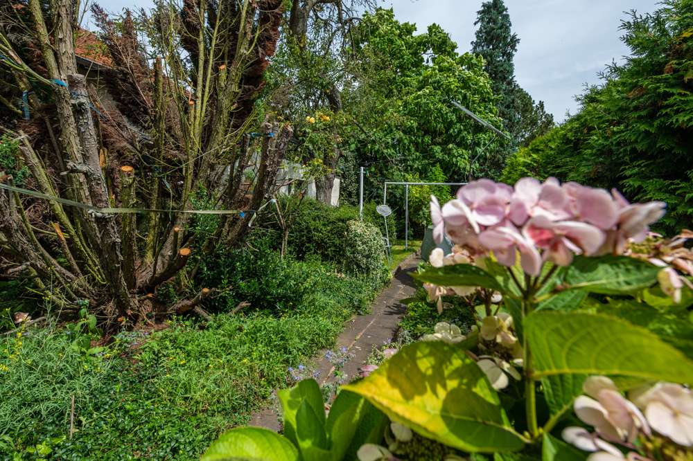 Thumbnail-Grundstück zu verkaufen in Dreieich Offenthal 475.000,00 € 574 m²