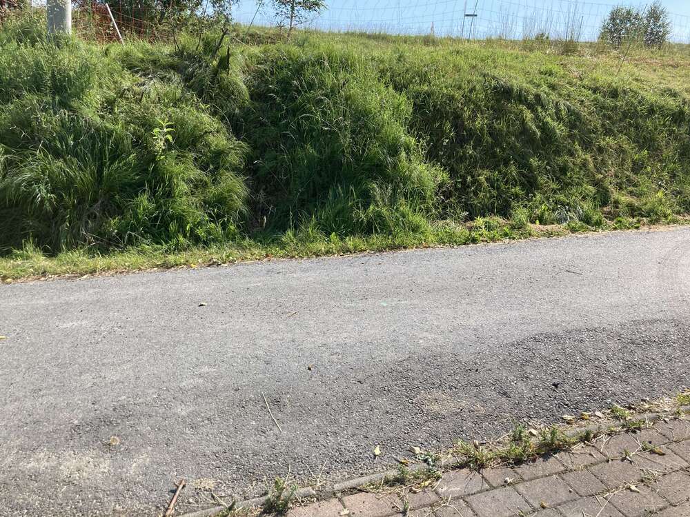 Thumbnail-Grundstück zu verkaufen in Dürrröhrsdorf Dittersbach 140.000,00 € 980 m²