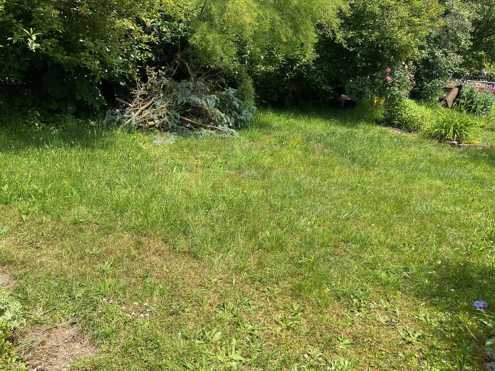 Thumbnail-Grundstück zu verkaufen in Pirna 180.000,00 € 680 m²