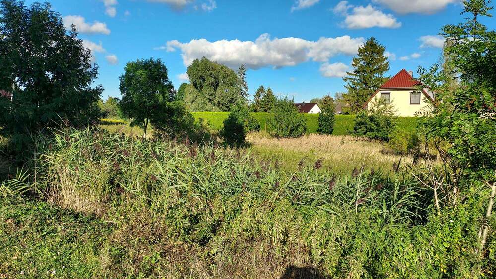 Thumbnail-Grundstück zu verkaufen in Woldegk 21.650,00 € 866 m²