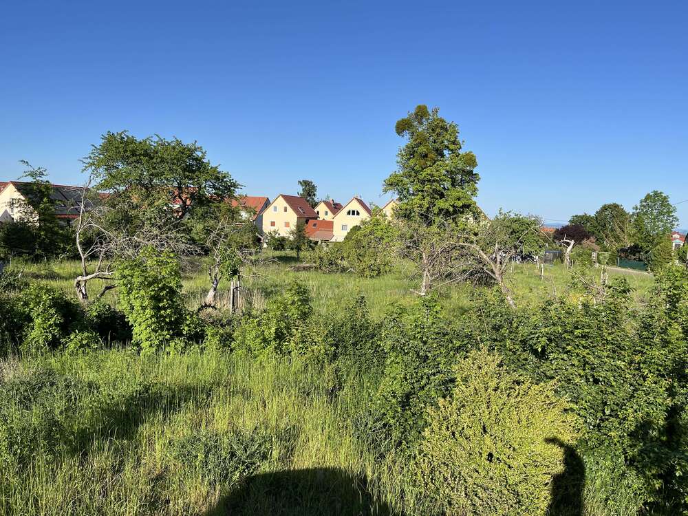 Thumbnail-Grundstück zu verkaufen in Bannewitz OT Goppeln 150.000,00 € 540 m²