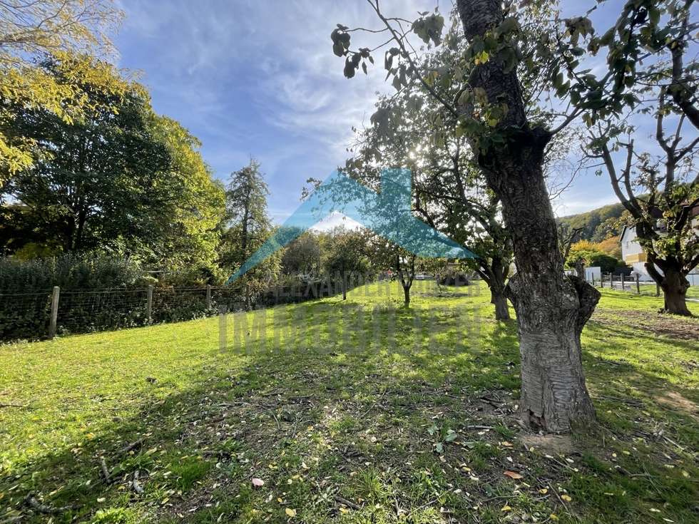 Thumbnail-Grundstück zu verkaufen in Bad Sooden-Allendorf 149.900,00 € 2173 m²