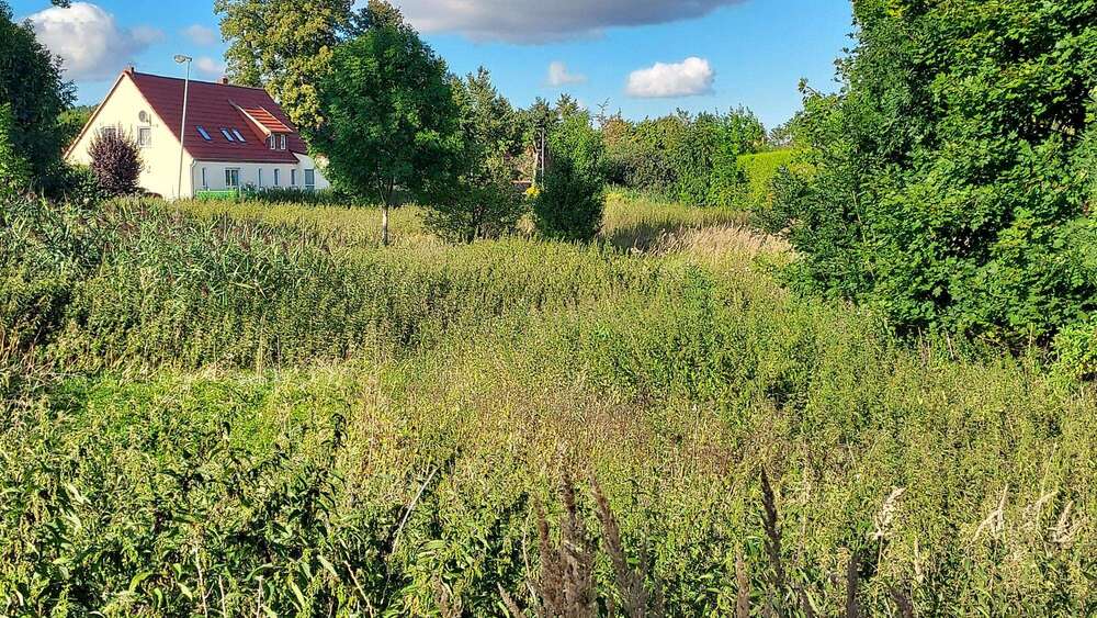 Thumbnail-Grundstück zu verkaufen in Woldegk 37.225,00 € 1489 m²