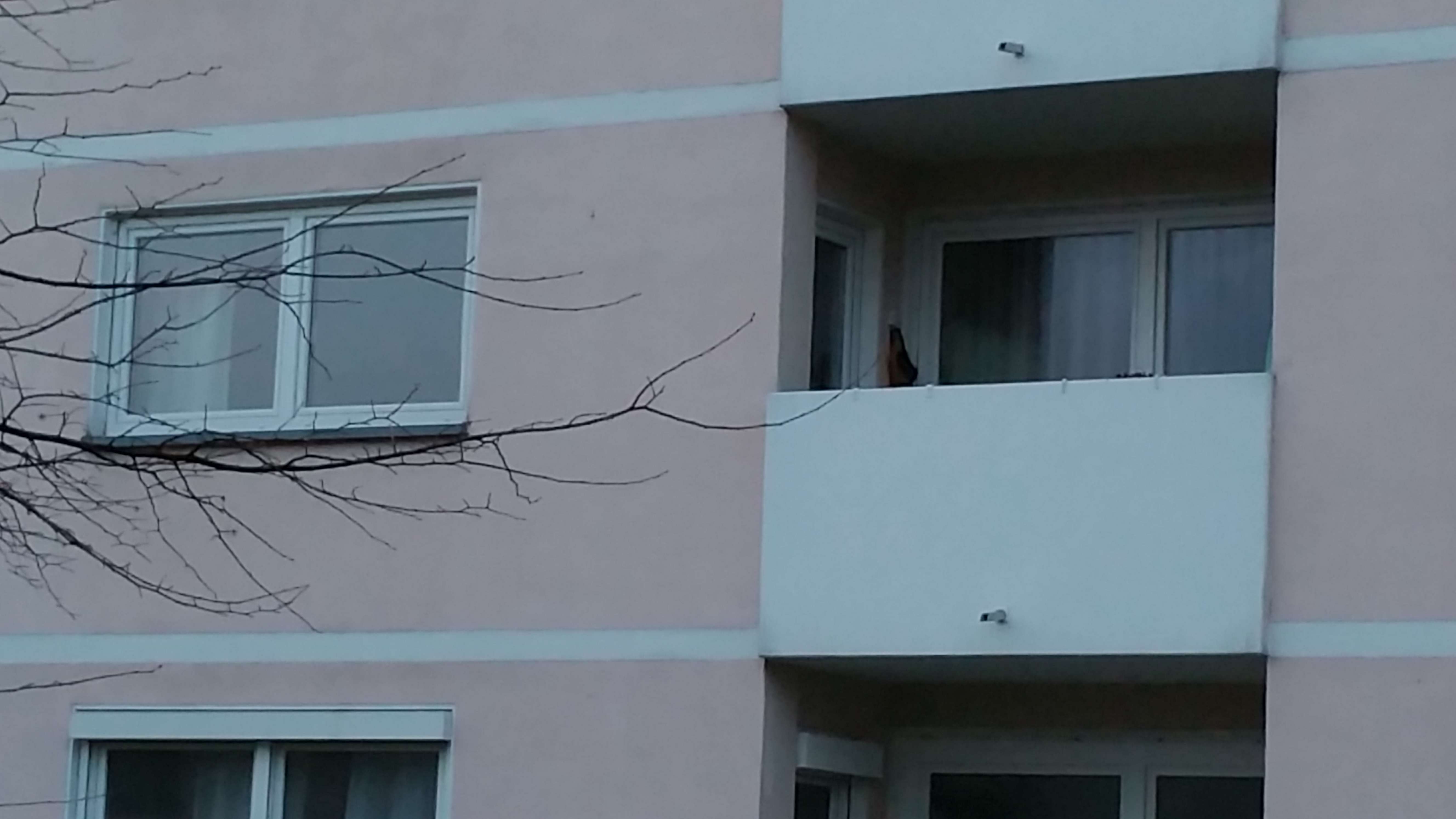 Thumbnail-Wohnung zum Kaufen in Weinheim 135.500,00 € 39 m²