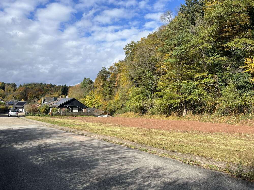 Thumbnail-Grundstück zu verkaufen in Landau 78.000,00 € 606 m²