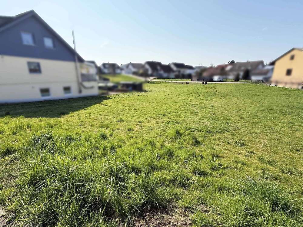 Thumbnail-Grundstück zu verkaufen in Sinsheim 168.000,00 € 492 m²