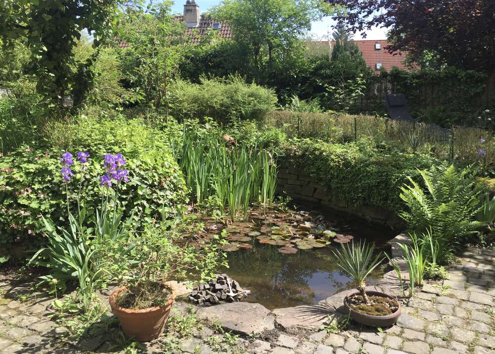 Thumbnail-Wohnung zum Mieten in Wiesbaden 1.500,00 € 108 m²