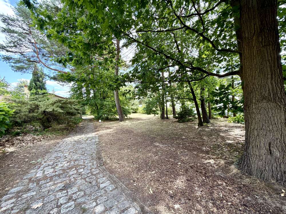 Thumbnail-Grundstück zu verkaufen in Grünheide 349.900,00 € 1321 m²
