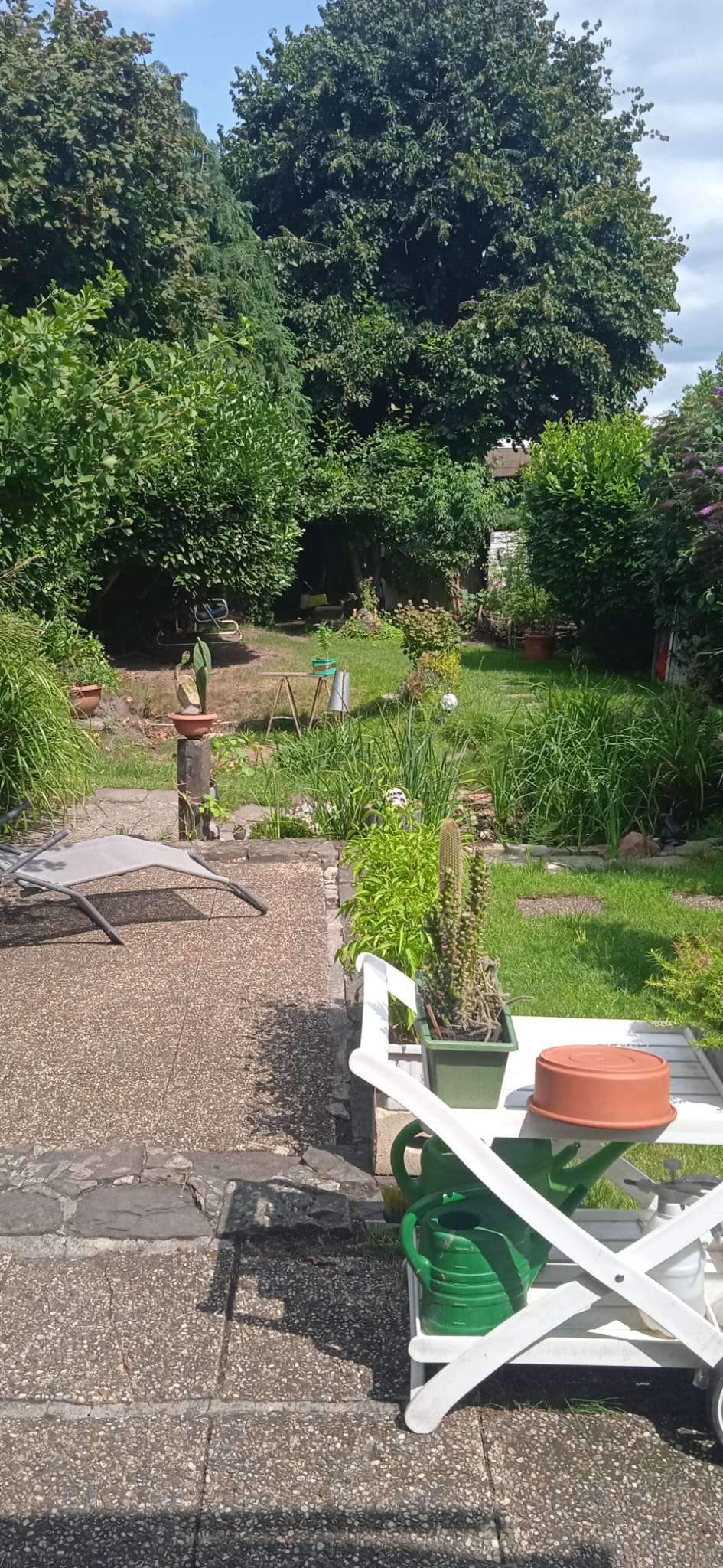 Thumbnail-Wohnung zum Kaufen in Gelsenkirchen 130.000,00 € 72 m²