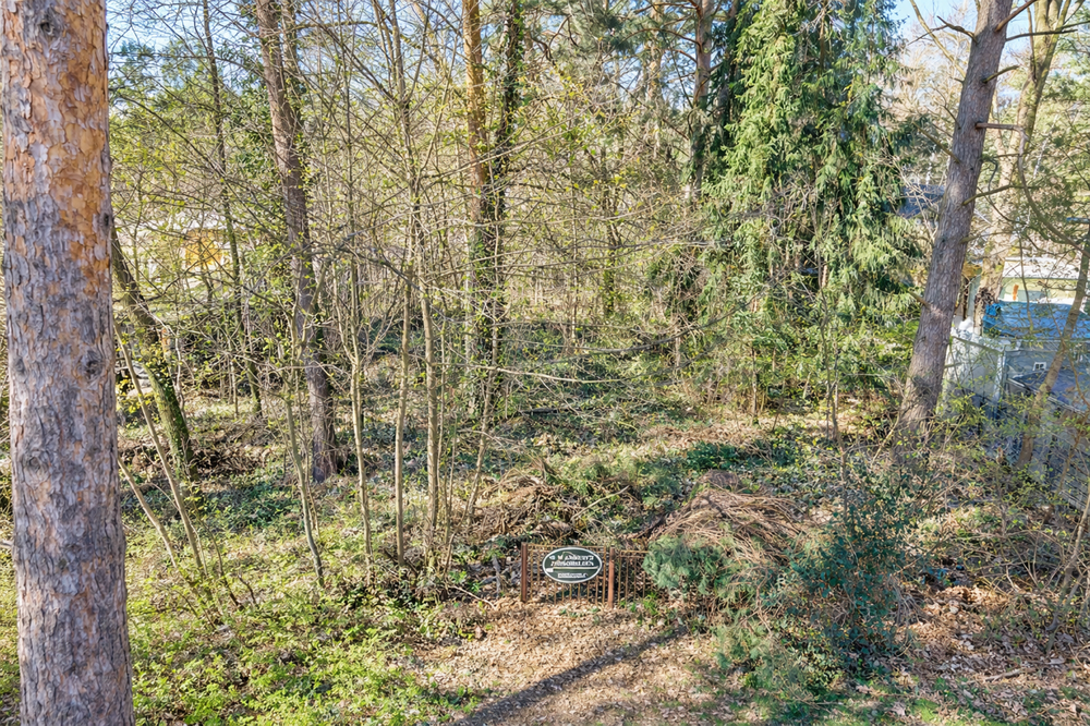Thumbnail-Grundstück zu verkaufen in Wandlitz 320.000,00 € 1134 m²