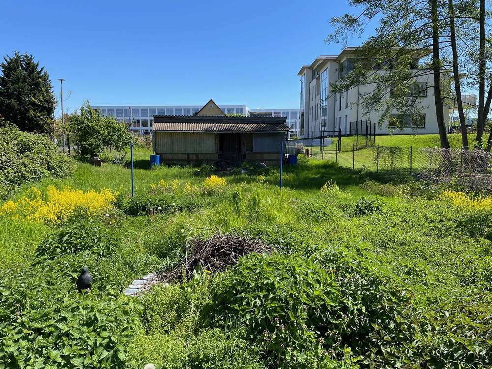 Thumbnail-Grundstück zu verkaufen in Berlin 405.000,00 € 820 m²