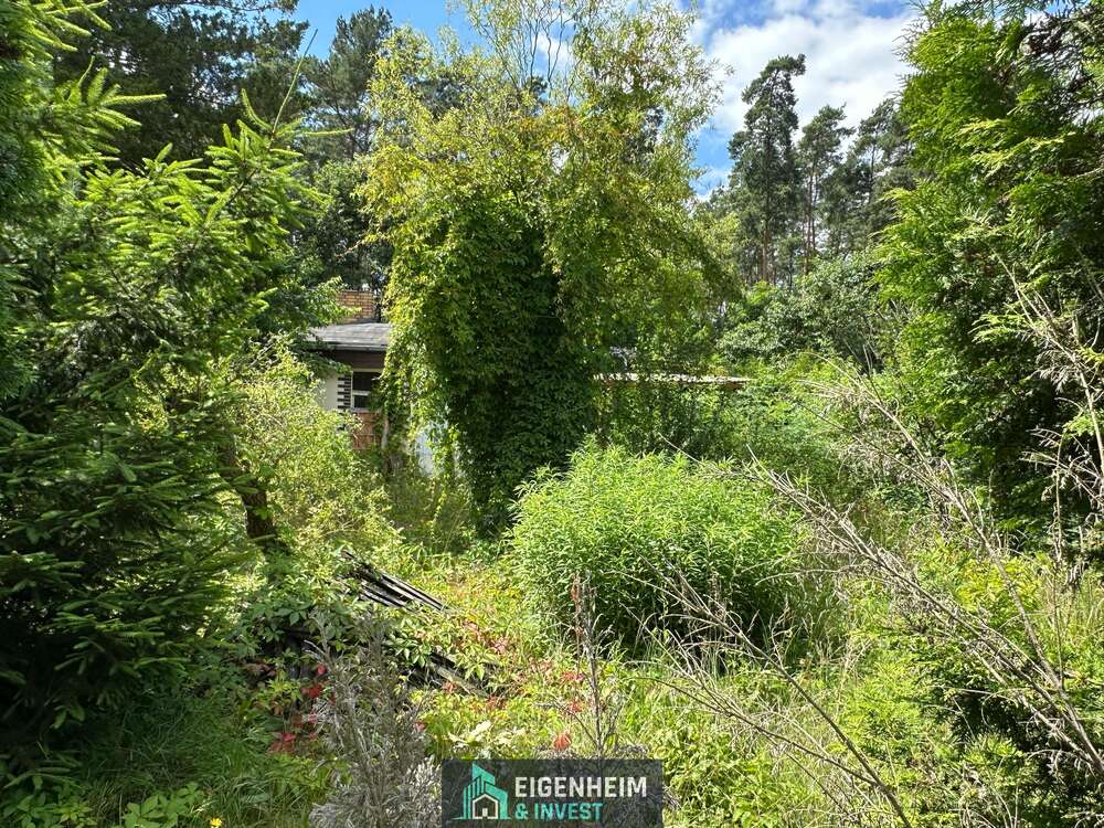 Thumbnail-Grundstück zu verkaufen in Schulzendorf 300.000,00 € 594 m²