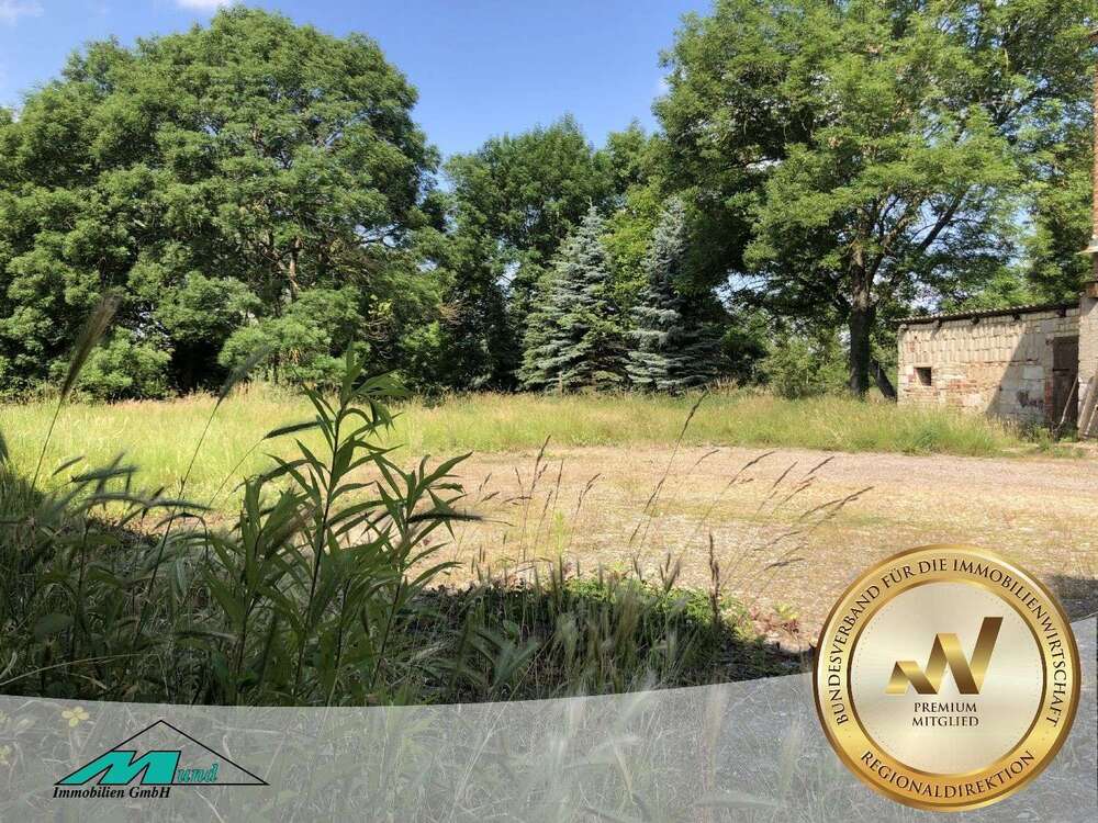 Thumbnail-Grundstück zu verkaufen in Bad Dürrenberg 98.500,00 € 1486 m²