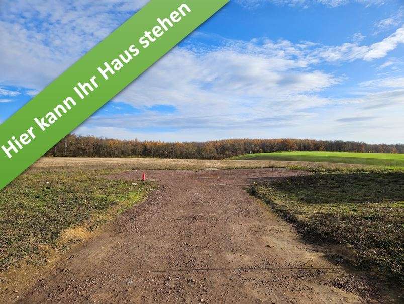 Thumbnail-Haus zum Kaufen in Harbke 348.850,00 € 133 m²