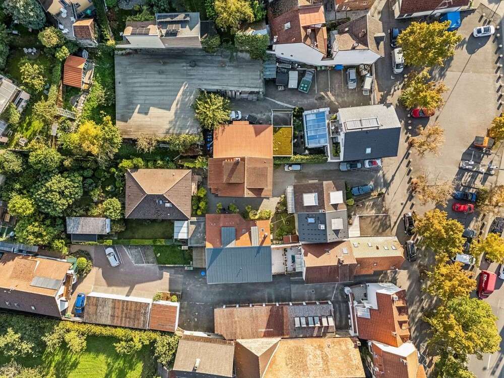 Thumbnail-Haus zum Kaufen in Weinheim 1.650.000,00 € 350.6 m²