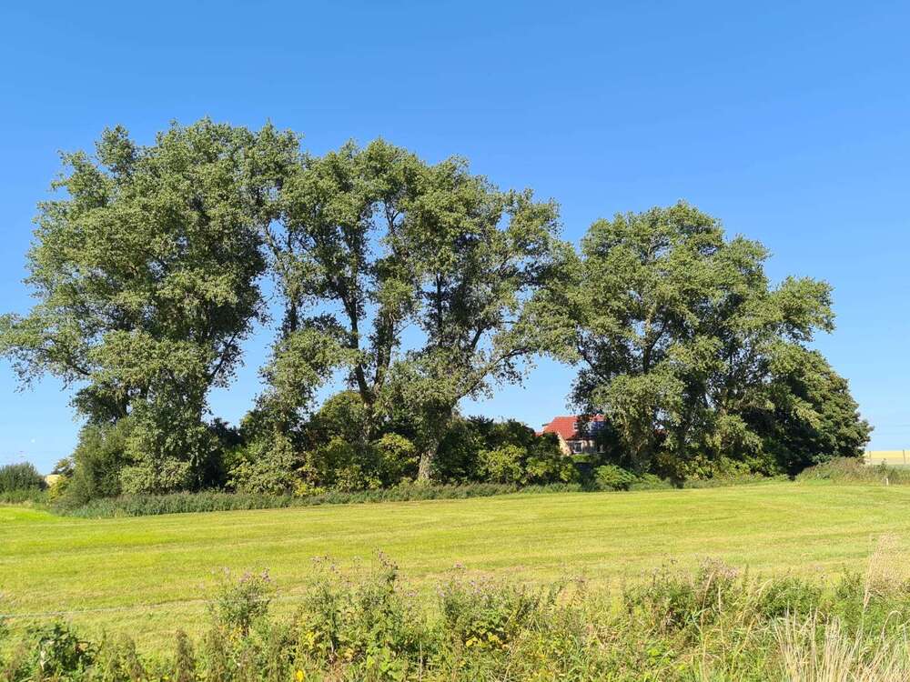 Thumbnail-Haus zum Kaufen in Varel 165.000,00 € 178.16 m²