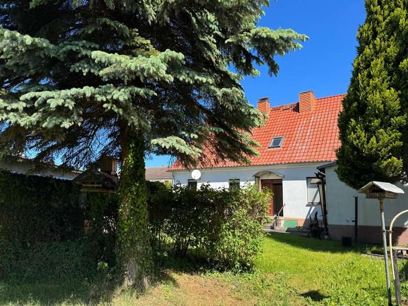 Thumbnail-Haus zum Kaufen in Altwarp 175.000,00 € 170 m²