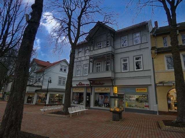 Thumbnail-Haus zum Kaufen in Bad Harzburg 550.000,00 € 390 m²