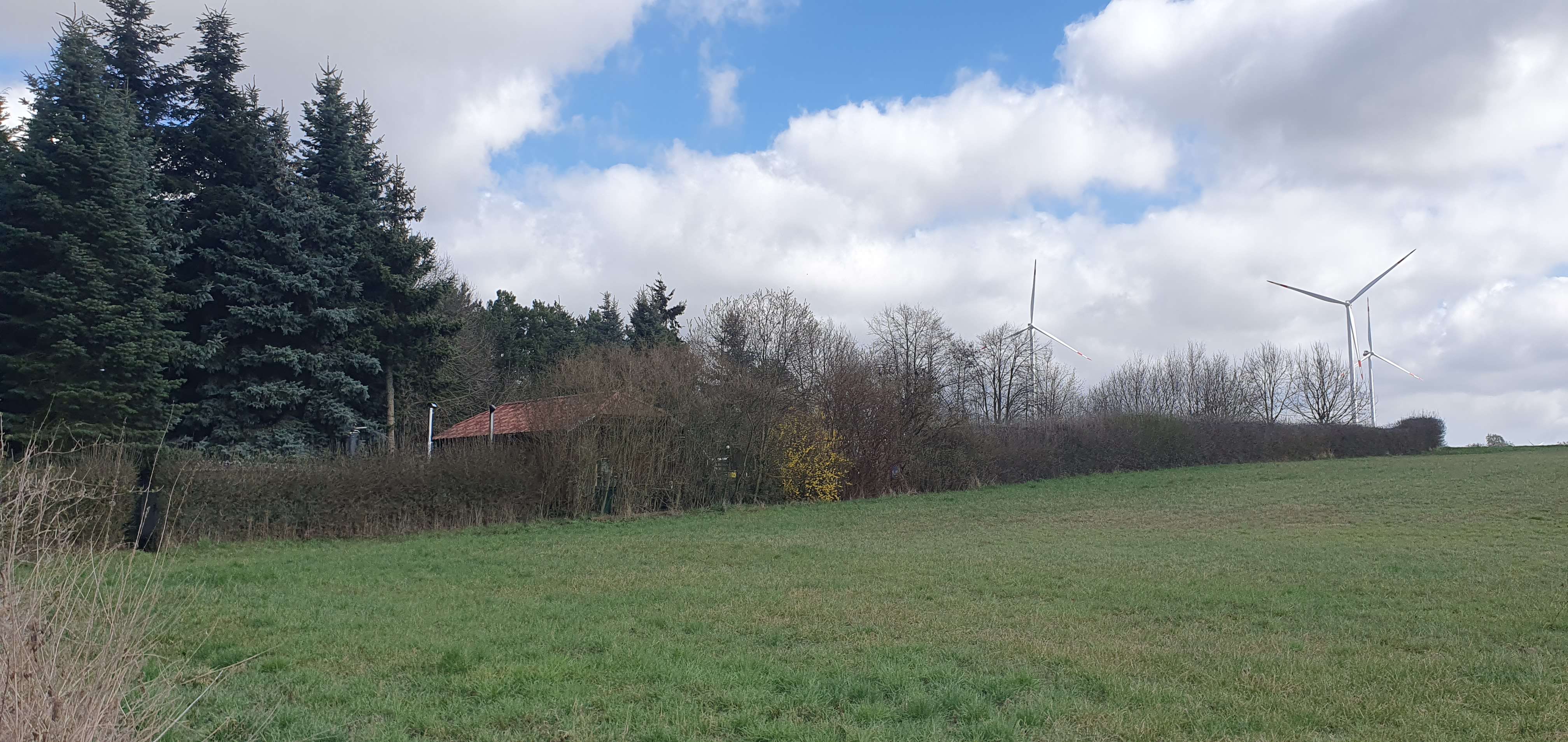 Thumbnail-Grundstück zu verkaufen in Gem. BriesenOT Biegen 63.000,00 € 545 m²