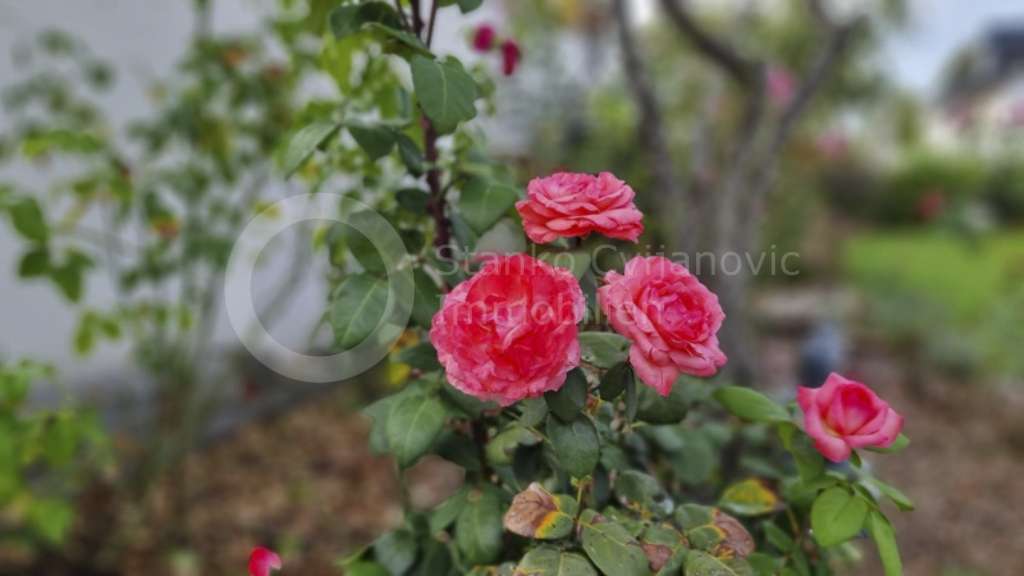 Thumbnail-Wohnung zum Kaufen in Gröbenzell 379.950,00 € 77 m²