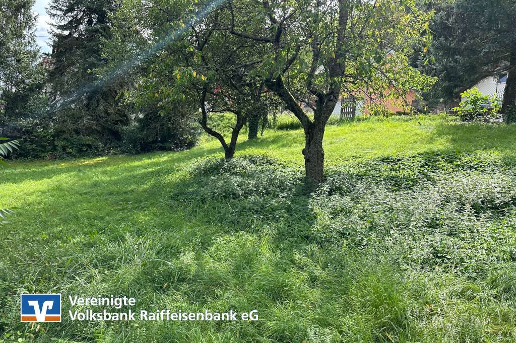 Thumbnail-Grundstück zu verkaufen in Idar-Oberstein 50.000,00 € 1186 m²