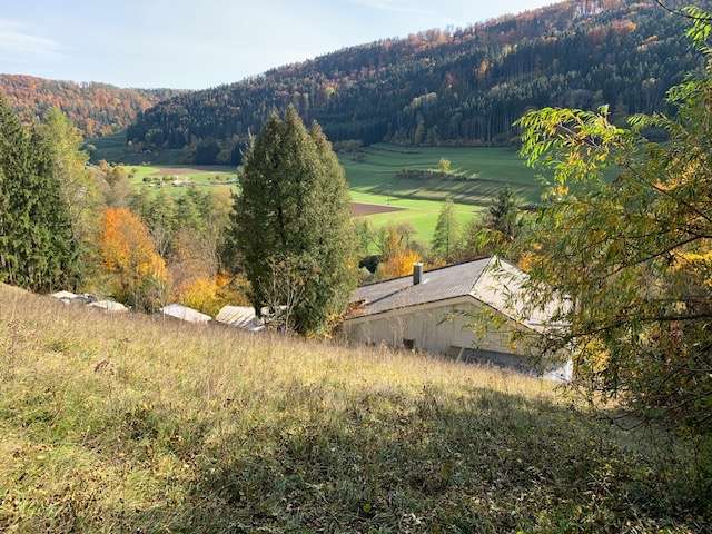 Thumbnail-Haus zum Kaufen in Sulz am Neckar 255.000,00 € 162 m²