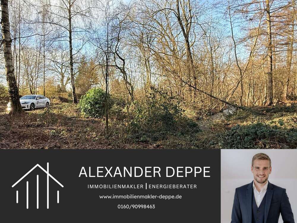 Thumbnail-Grundstück zu verkaufen in Bevern 290.000,00 € 9104 m²