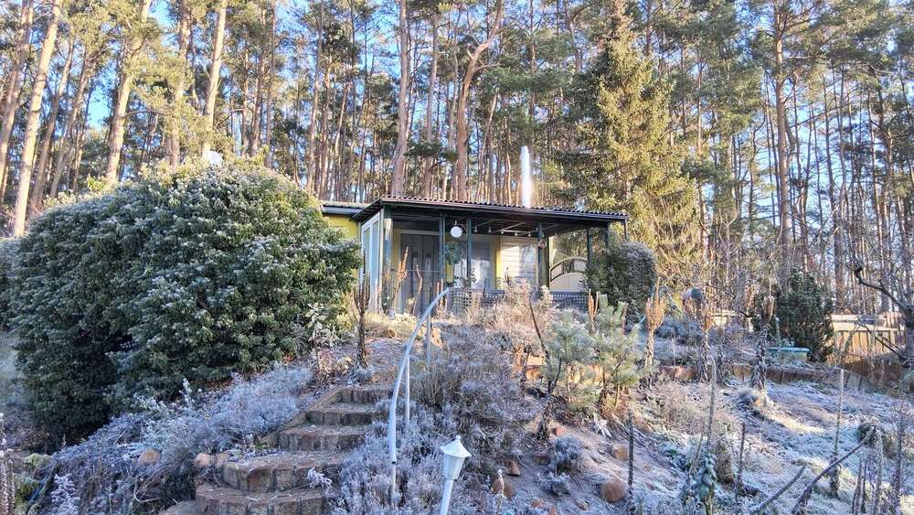 Thumbnail-Haus zum Kaufen in Brandenburg 39.990,00 € 43 m²