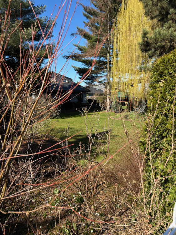 Thumbnail-Grundstück zu verkaufen in Leipzig 210.000,00 € 450 m²