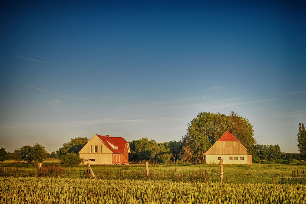 Thumbnail-Haus zum Kaufen in Rappin 980.000,00 € 230 m²