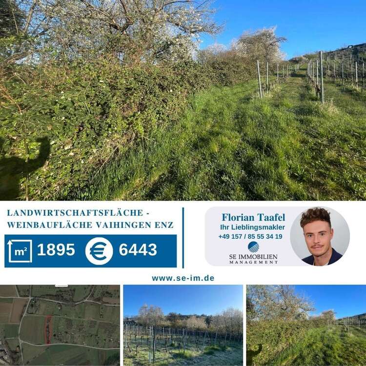 Thumbnail-Grundstück zu verkaufen in Vaihingen an der Enz 6.443,00 € 1895 m²