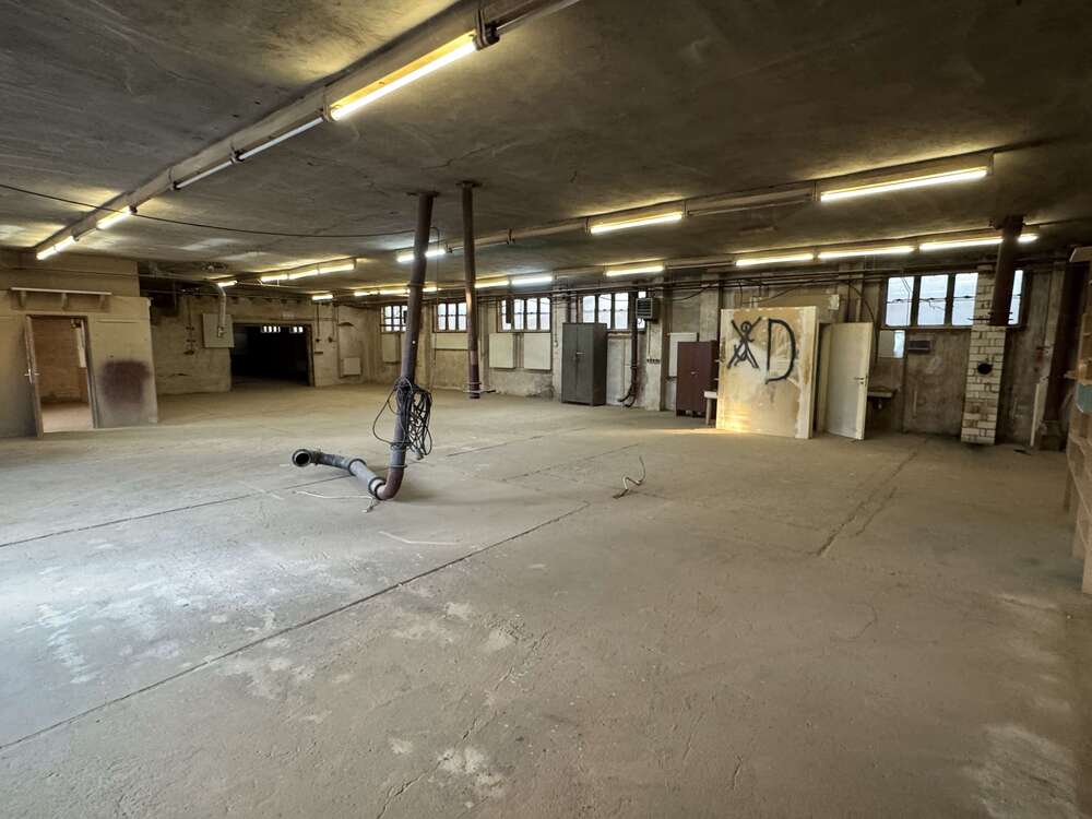 Thumbnail-Halle in Halle 1.100,00 € 370 m²
