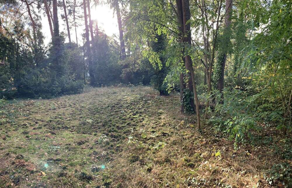Thumbnail-Grundstück zu verkaufen in Berlin-Kladow 220.000,00 € 487 m²