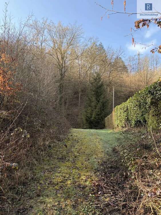 Thumbnail-Grundstück zu verkaufen in Leubsdorf 187.000,00 € 1047 m²
