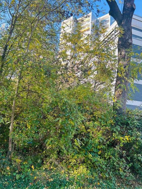 Thumbnail-Wohnung zum Kaufen in Bad Homburg 310.000,00 € 88 m²