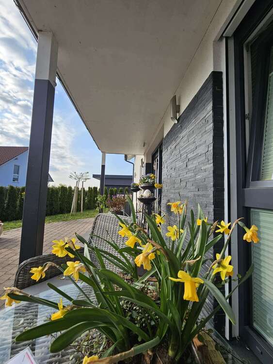 Thumbnail-Haus zum Kaufen in Mühlhausen 550.000,00 € 200 m²
