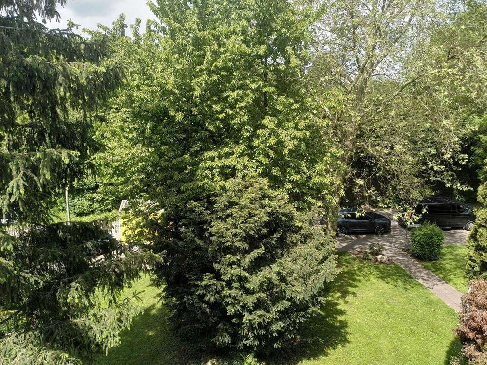 Thumbnail-Wohnung zum Mieten in Kerpen 780,00 € 83 m²