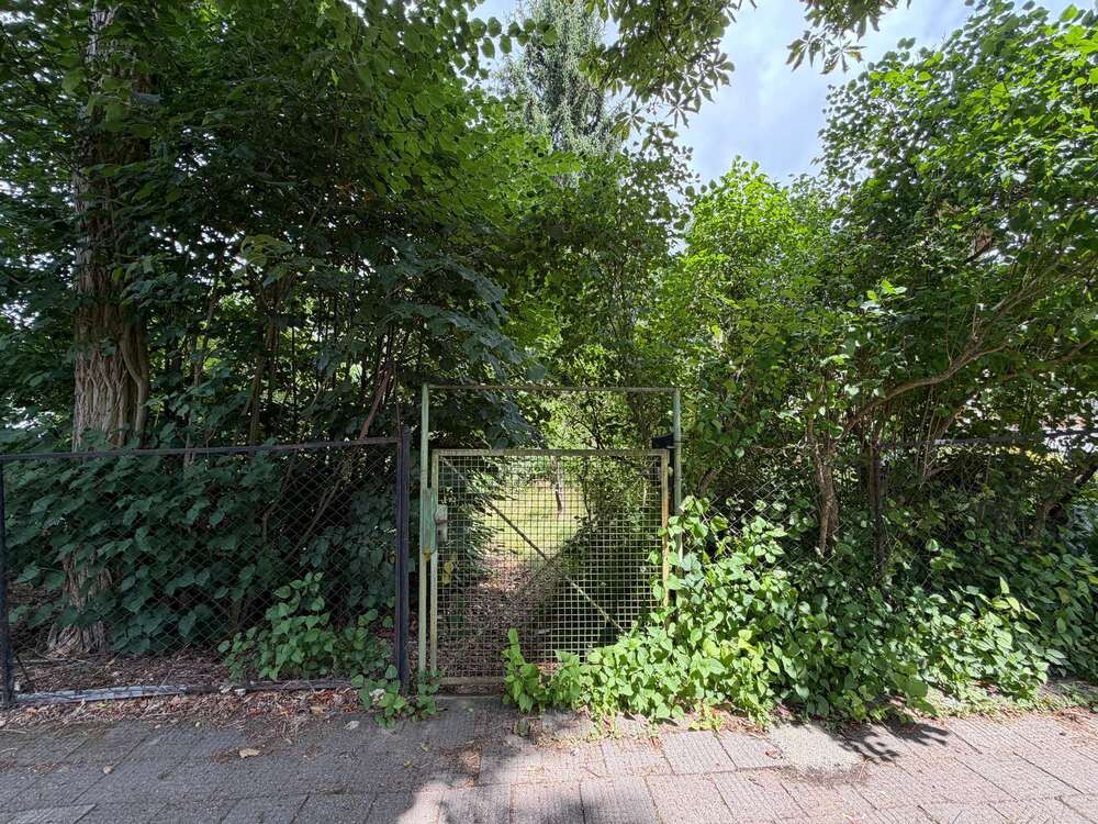 Thumbnail-Grundstück zu verkaufen in Berlin 340.000,00 € 726 m²