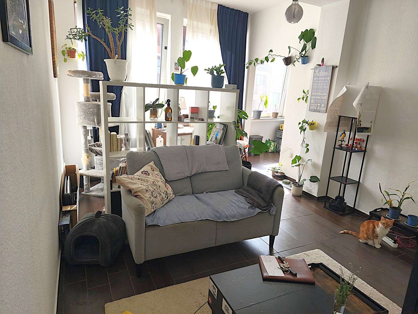 Thumbnail-Wohnung zum Mieten in Bremen 620,00 € 32 m²