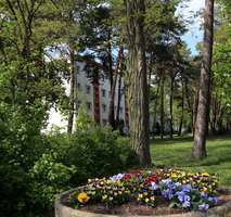 Thumbnail-Wohnung zum Mieten in Niedergörsdorf OT Altes Lager 385,00 € 61.5 m²